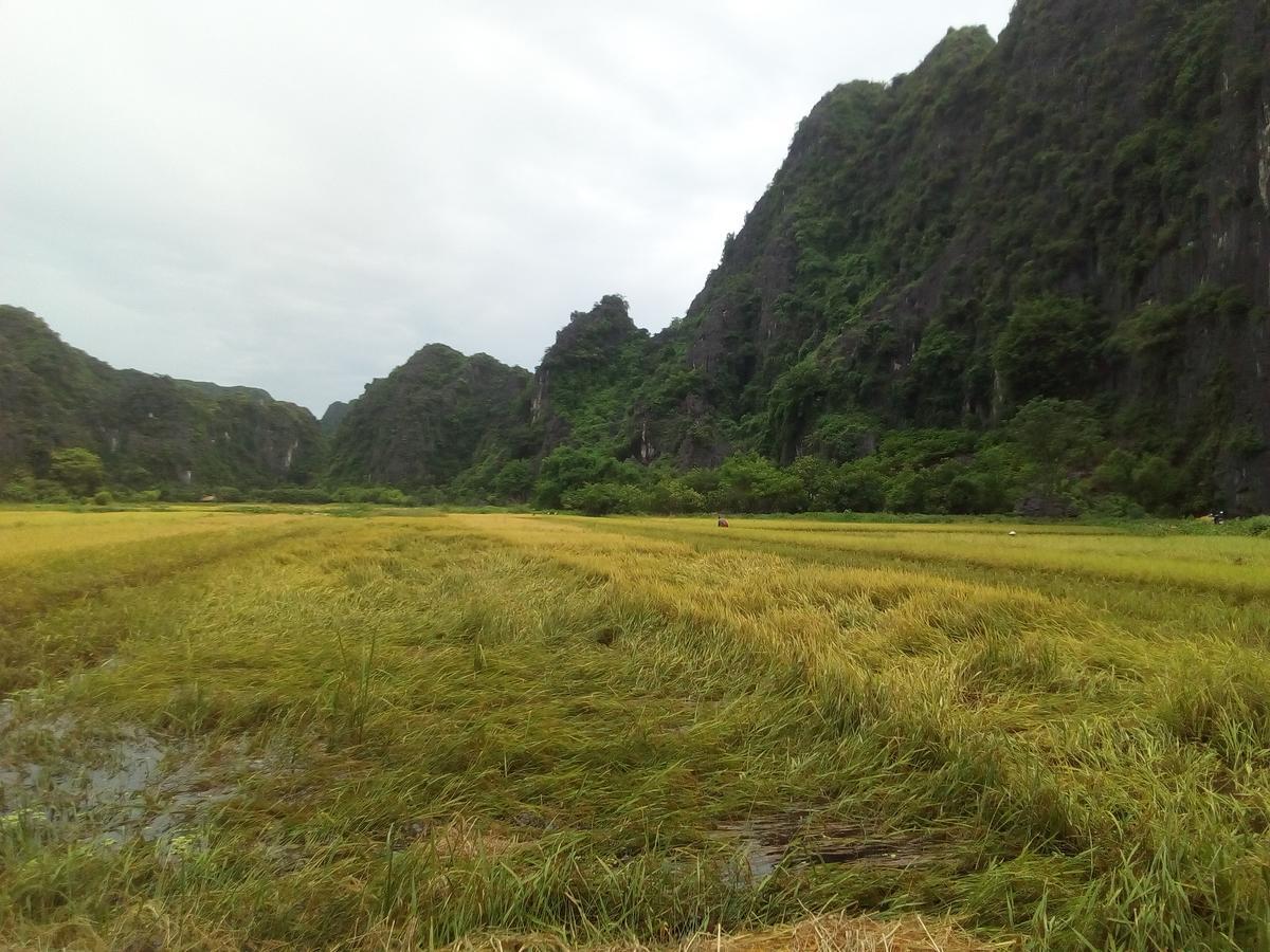 Tam Coc Smile Homestay Ninh Binh Eksteriør billede